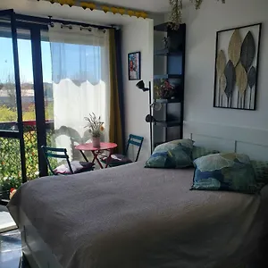 Cosy Entierement Equipe Appartement Toulouse